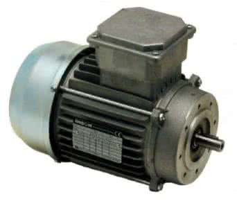 供應美國B(niǎo)ison電機